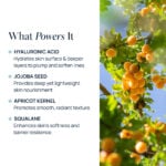 best hyaluronic acid cream for hydration