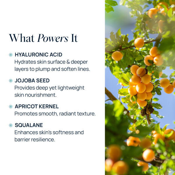 best hyaluronic acid cream for hydration